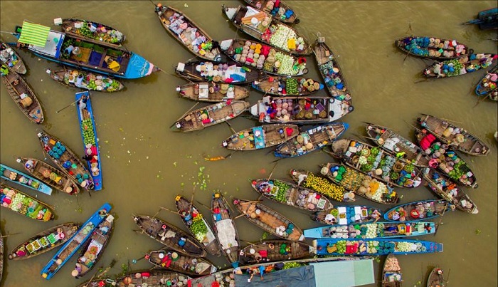 hoa súng miền Tây