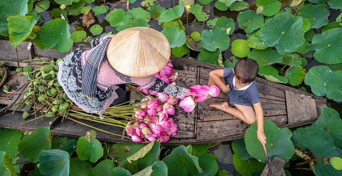 rừng tràm Trà Sư An Giang 