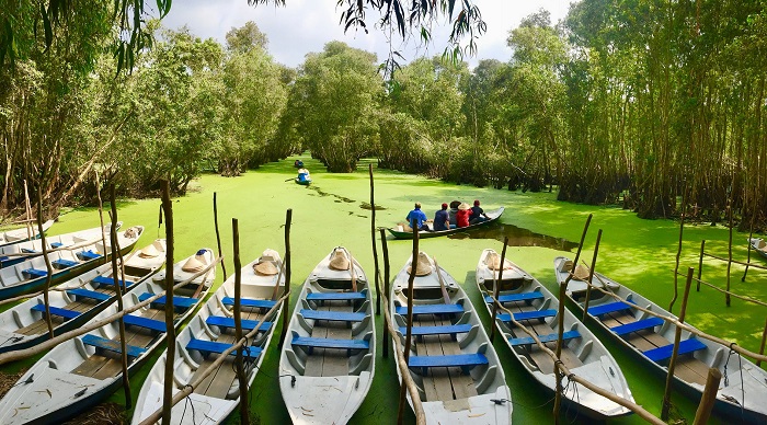 rừng tràm Trà Sư An Giang 