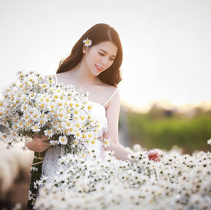 cánh đồng hoa Bãi Đá Sông Hồng