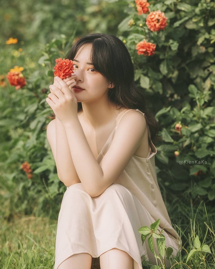 cánh đồng hoa Bãi Đá Sông Hồng