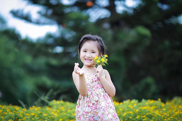 cánh đồng hoa Bãi Đá Sông Hồng