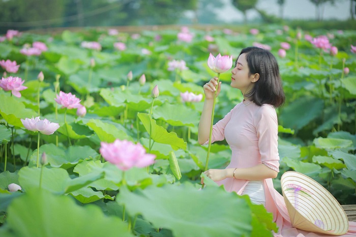 cánh đồng hoa Bãi Đá Sông Hồng