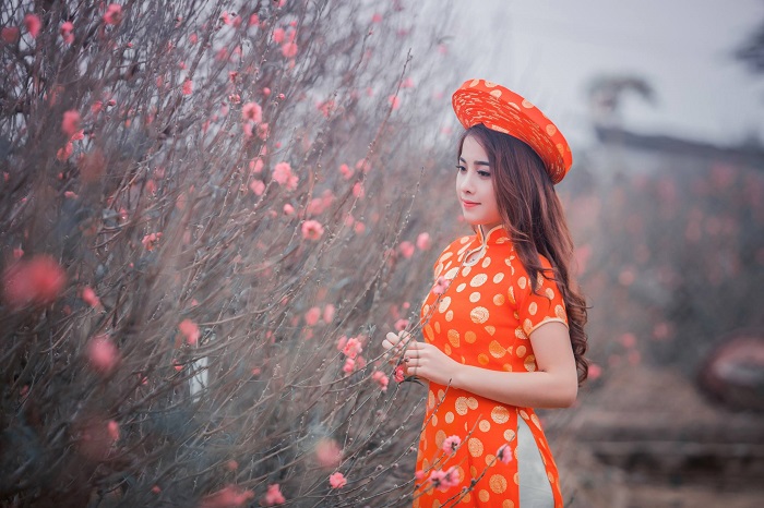 cánh đồng hoa Bãi Đá Sông Hồng