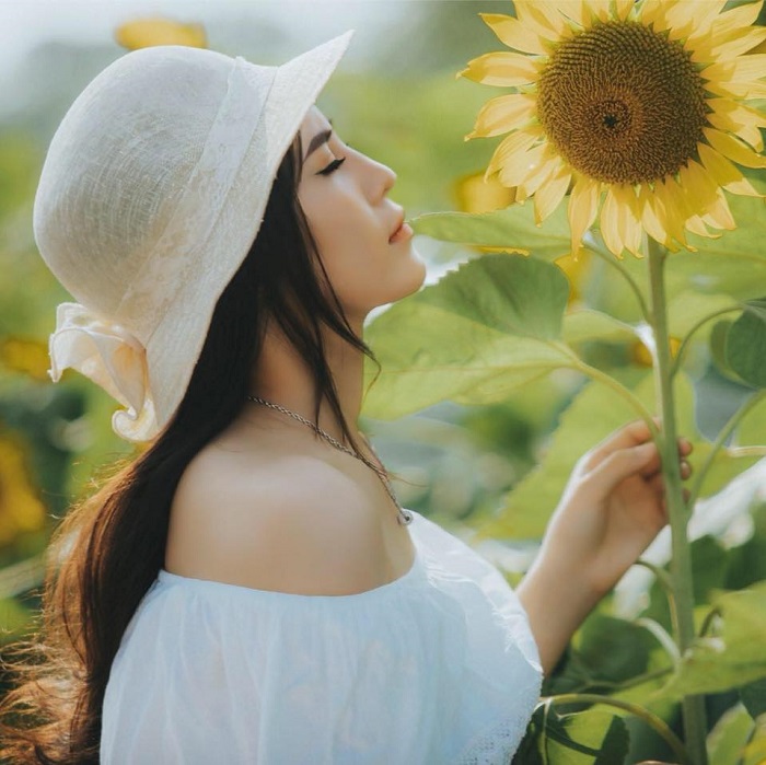 cánh đồng hoa Bãi Đá Sông Hồng