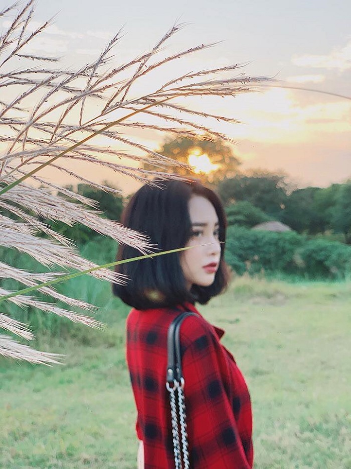 cánh đồng hoa Bãi Đá Sông Hồng