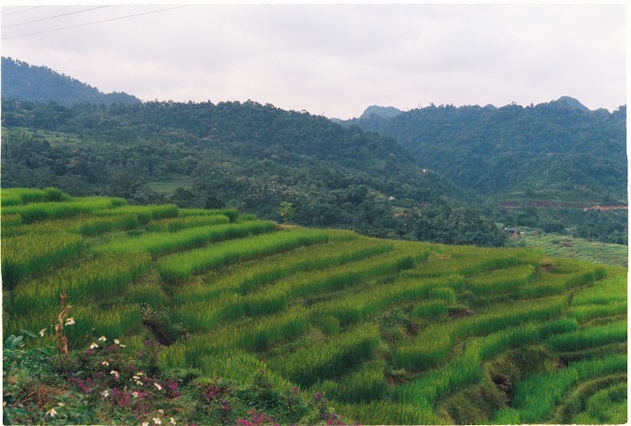 du lịch Pù Luông