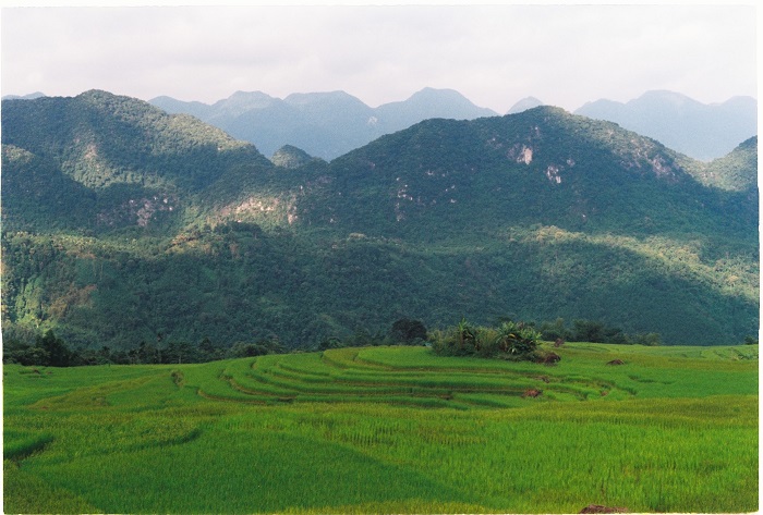 du lịch Pù Luông