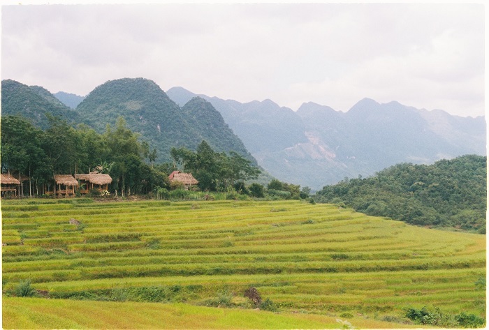 du lịch Pù Luông