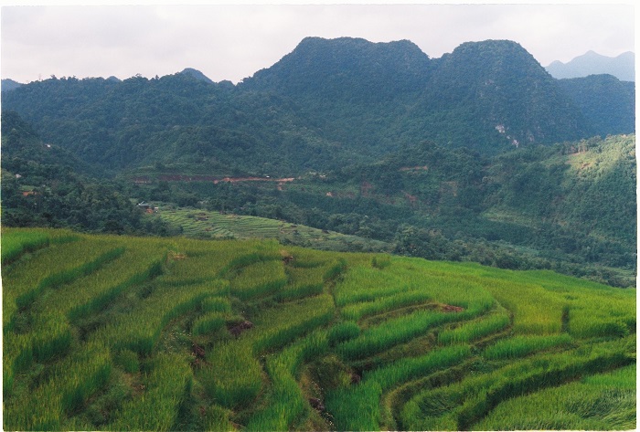 du lịch Pù Luông