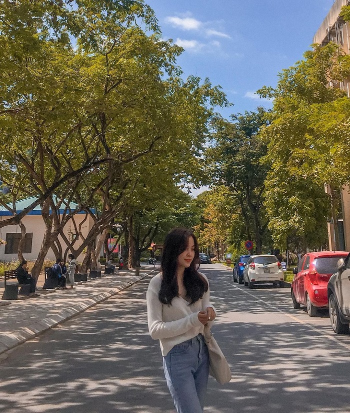 Hình ảnh đường phố Hàn Quốc: Mang đến cho bạn cảm giác như đang đứng trên đường phố thực sự của Hàn Quốc, những hình ảnh đường phố này sẽ khiến bạn trầm trồ vì đẹp. Bạn sẽ bị thu hút bởi sự đa dạng của kiến trúc và văn hoá, từ những con phố nhỏ đến các tòa nhà cao tầng.