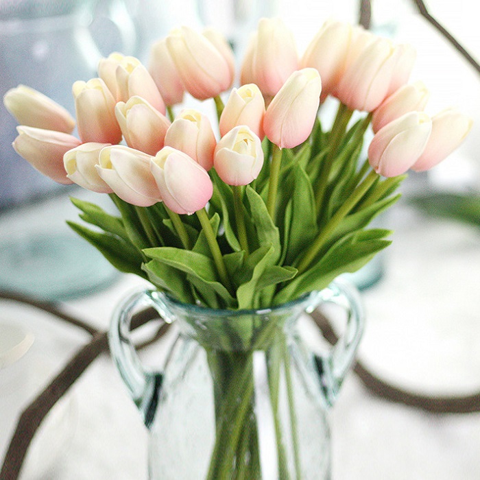 Hoa tulip - quốc hoa của Hà Lan, tìm hiểu về quốc hoa của các nước trên thế giới