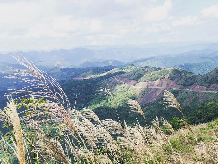 mùa cỏ lau ở Bình Liêu