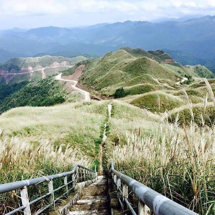 mùa cỏ lau ở Bình Liêu