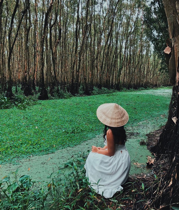 rừng tràm Trà Sư An Giang 