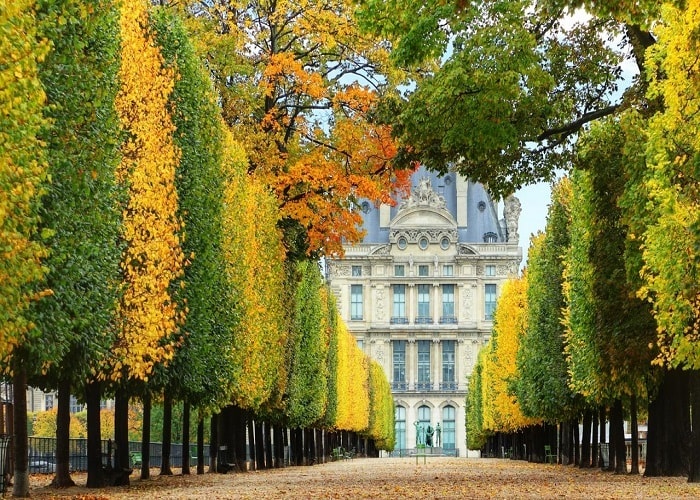 Vườn hoa Luxembourg là cảnh đẹp Paris