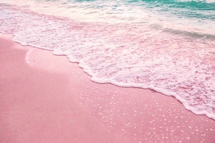bãi biển màu hồng Crane