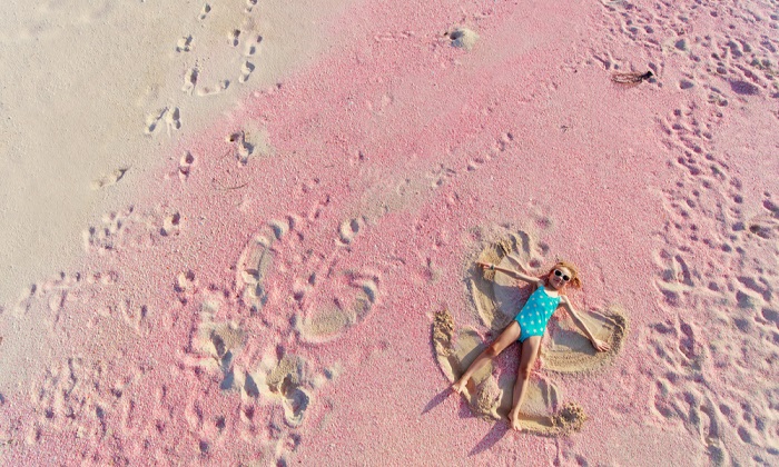 bãi biển màu hồng ở Barbuda