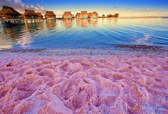 bãi biển màu hồng ở Bahamas