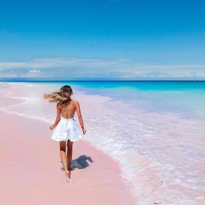 bãi biển màu hồng ở Bahamas