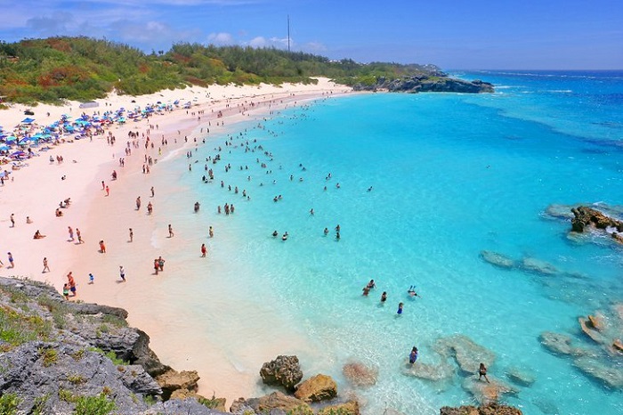 bãi biển màu hồng ở Bermuda