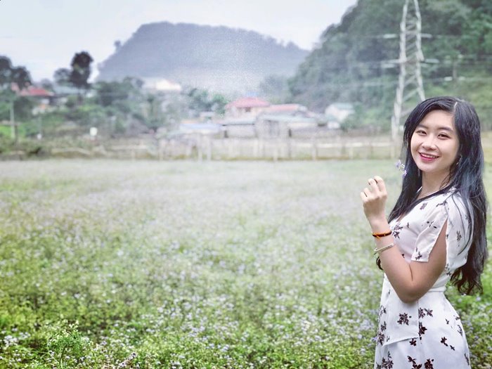 The mustard flowers are in season in Long Luong village. Photo:@alicevu91295 