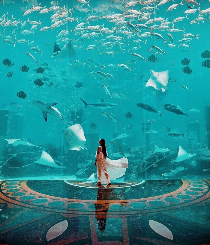 khách sạn dưới đáy biển ở Dubai