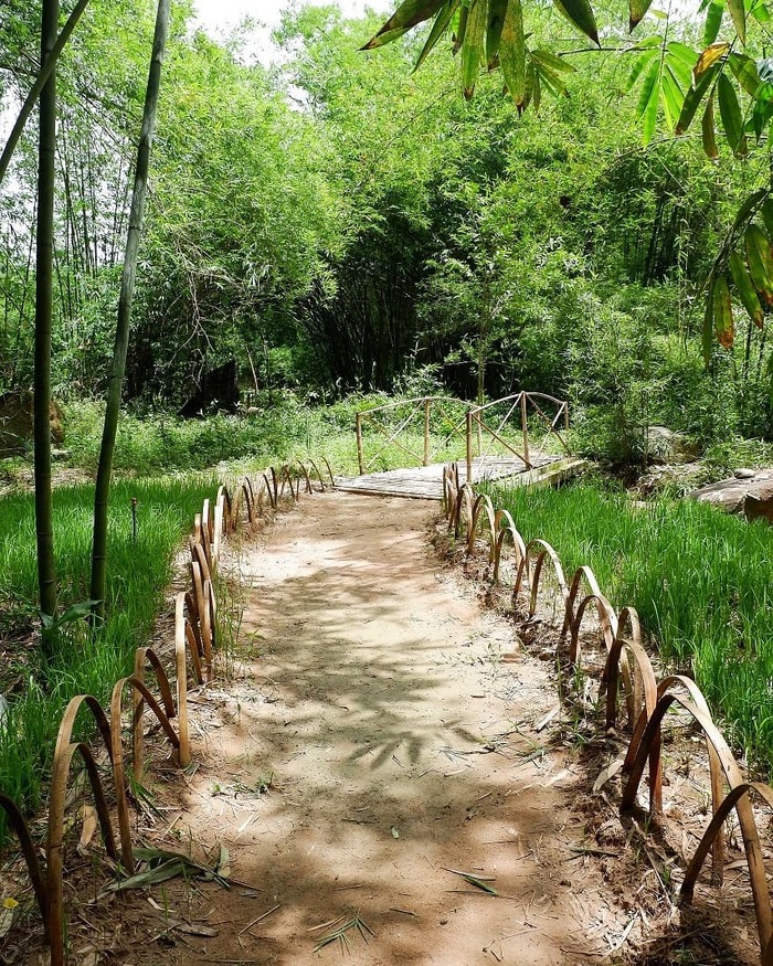 Bình dị làng tre Phú An – Nơi ‘trú ẩn’ cho những tâm hồn yêu nét đẹp thiên nhiên thanh bình, an yên