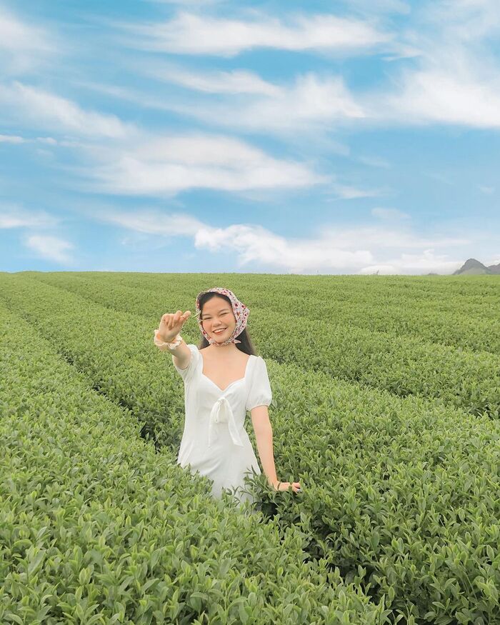 'Release your soul' in the romantic tea hills in Vietnam is welcomed by virtual believers