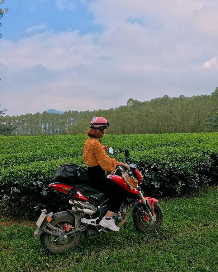'Release your soul' in the romantic tea hills in Vietnam is welcomed by virtual believers