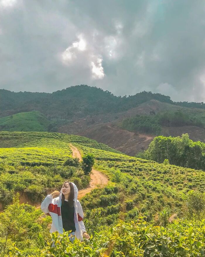 Dong Giang tea hill is one of the places in Quang Nam that attracts a lot of nature-loving tourists. Photo: @camyakult 