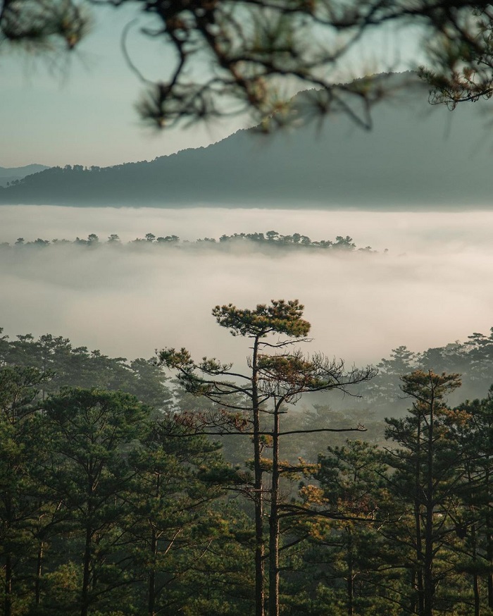 du lịch săn mây vùng cao