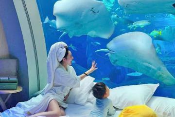 ‘Ba chìm bảy nổi’ ăn ngủ với cá tại khách sạn dưới đáy biển siêu sang chảnh 