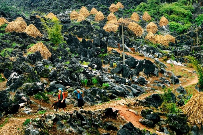 Du lịch cao nguyên đá ở Hà Giang 