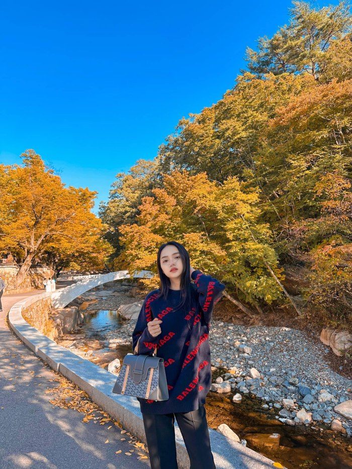 Hàn Quốc đã vào thu với lá vàng tuyệt đẹp. Ảnh: Internet