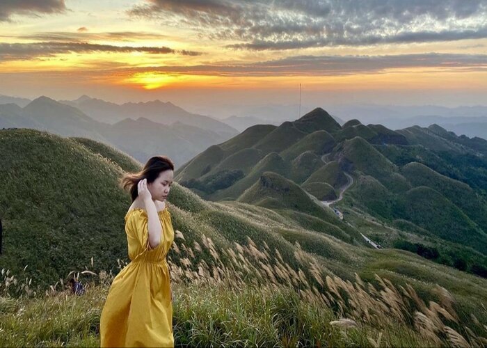Tháng 10 này có hẹn với mùa cỏ lau Bình Liêu đẹp như mơ