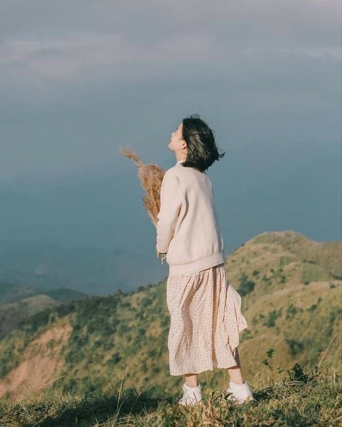 Tháng 10 này có hẹn với mùa cỏ lau Bình Liêu đẹp như mơ