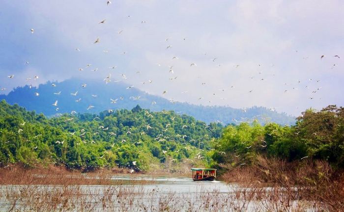 hồ ngàn trưoi vườn quốc gia Vũ Quang 
