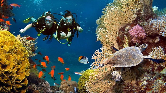 đảo san hô đẹp nhất thế giới Maldives
