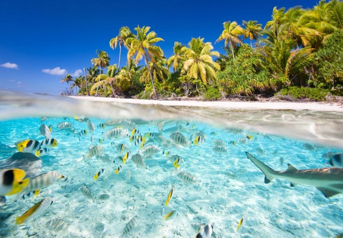 đảo san hô đẹp nhất thế giới Tikehau