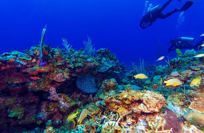 Cuba là nơi lặn biển tốt nhất để du khách khám phá khi không biết du lịch Cuba mùa thu có gì