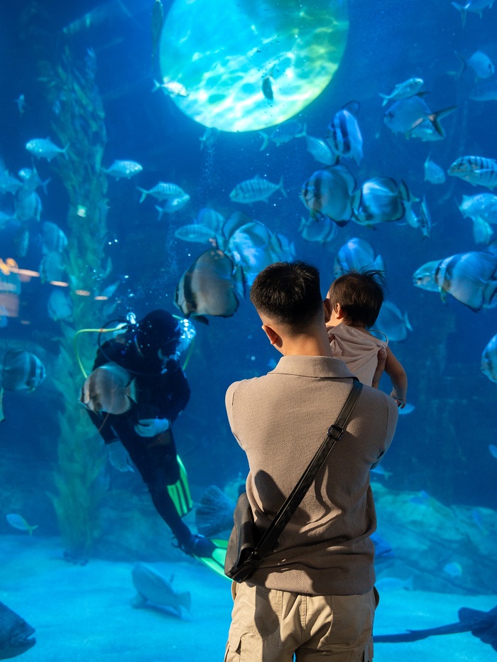 Một thế giới đại dương mới lạ tại Địa điểm vui chơi trẻ em ở Quận Tây Hồ Hà Nội chắc chắn khiến các bé thích mê