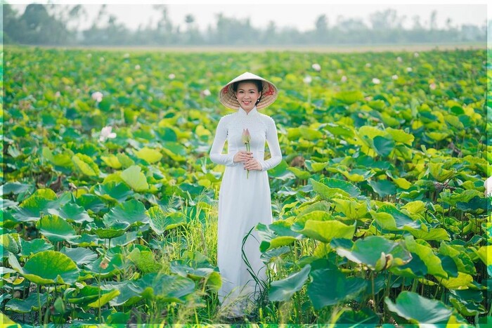 Thời điểm săn mùa sen Đồng Tháp Mười đẹp nhất là tầm tháng 8 đến tháng 11