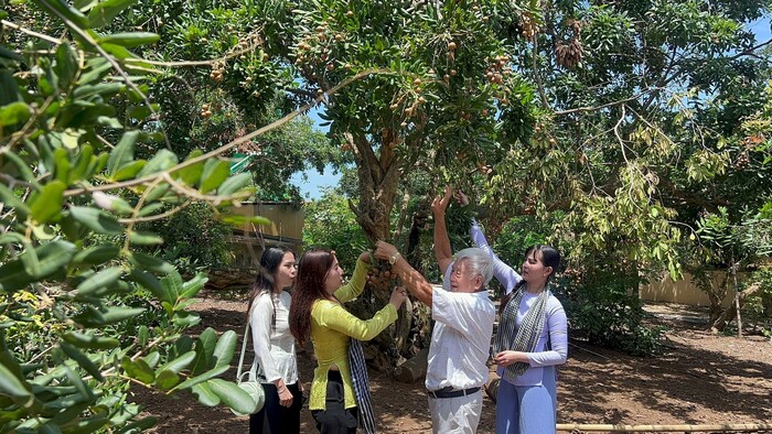 Du lịch Bạc Liêu cuối năm chơi gì? Ghé thăm vườn nhãn trăm tuổi