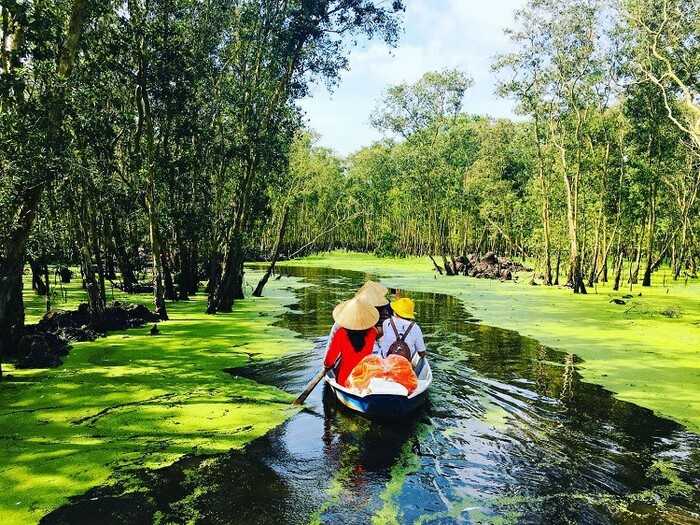 Du lịch Cà Mau mùa nước ngập chèo thuyền tham quan khung cảnh sông nước