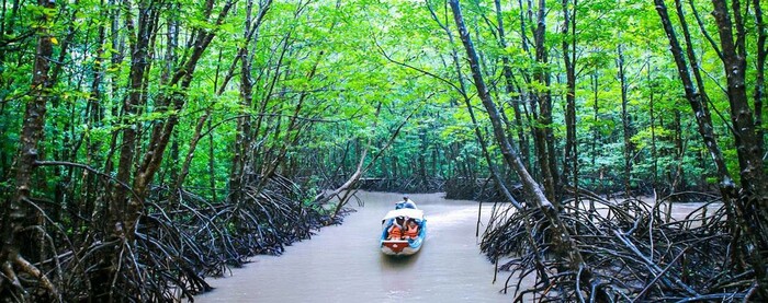 Du lịch Cà Mau mùa nước ngập đi thuyền khám phá rừng đước