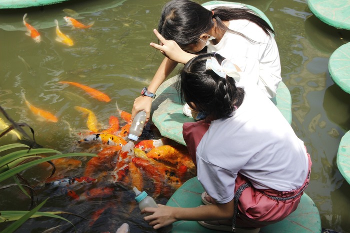 Du lịch Cần Thơ mùa nước nổi trải nghiệm cho cá bú bình ở làng Mỹ khánh