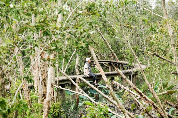 du lịch Long An mùa nước nổi đi dạo giữa rừng tràm