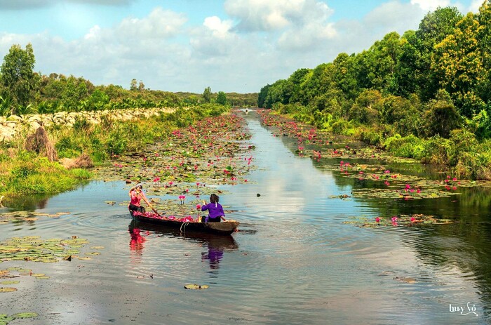 du lịch Long An mùa nước nổi ngắm nhìn hồ sen thơ mộng