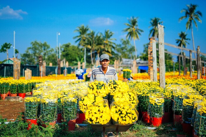 Làng hoa đẹp nổi tiếng ở miền Tây - Làng hoa Cái Mơn Bến Tre